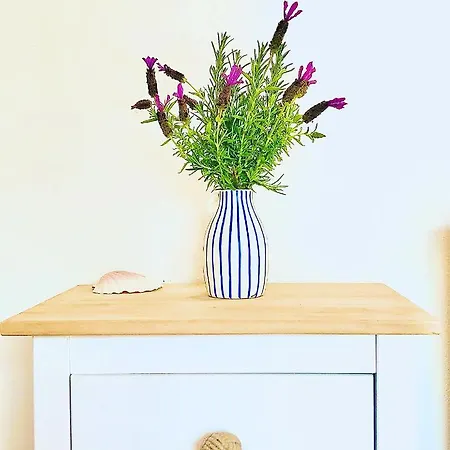 Ferienhaus Casa Bordeira Bordeira (Bordeira)